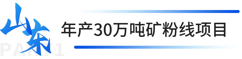 山東年產(chǎn)30萬噸礦粉線項目